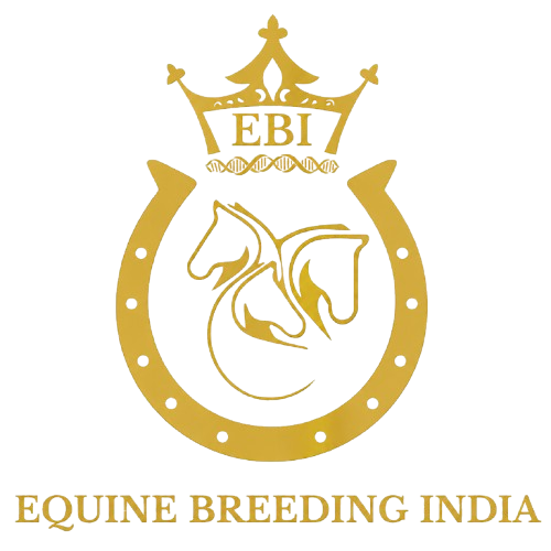 Equine Breeding